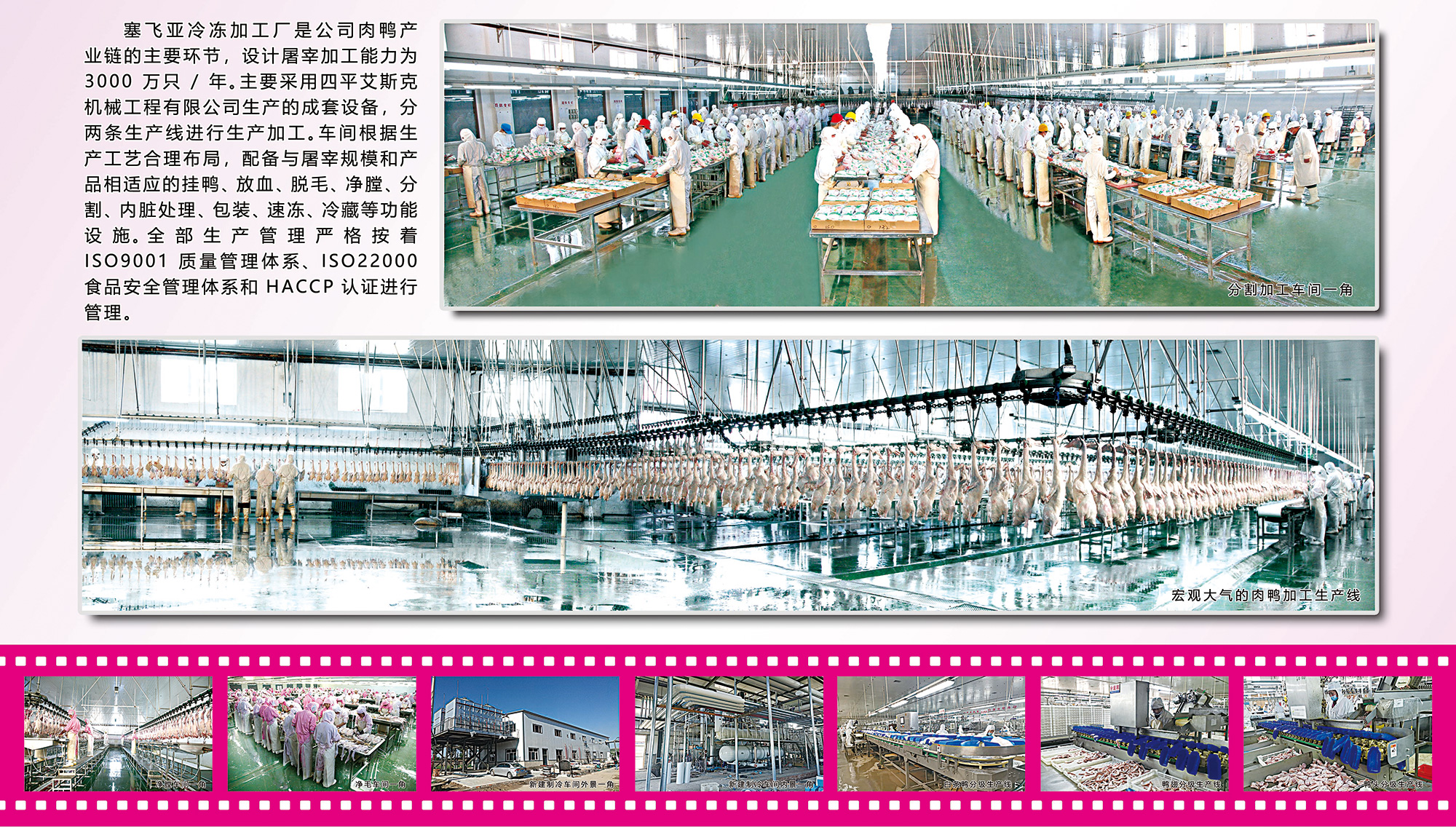 內蒙古塞飛亞農業(yè)科技發(fā)展股份有限公司
